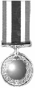 SILVER MEDAL™ - Non-Acid Aluminum Brightner