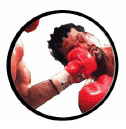UPPERCUT™ - Multi Purpose, Multi Surface Cleaner